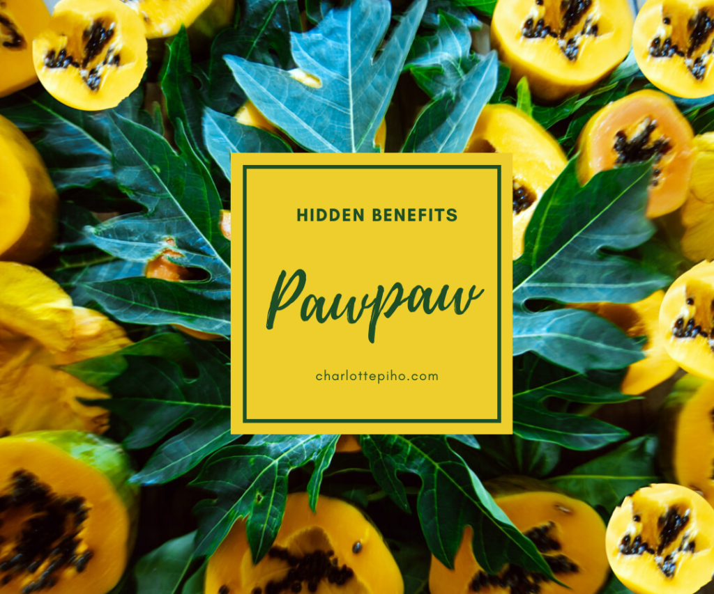 How to make Pawpaw Leaf Juice 2 simple steps