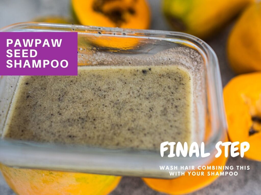 How to make Pawpaw seed Shampoo 3 Simple Steps